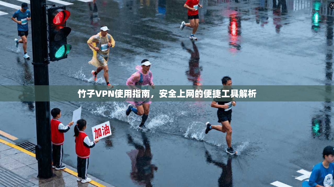 竹子VPN使用指南,安全上网的便捷工具解析 竹子VPN使用指南,安全上网的便捷工具解析