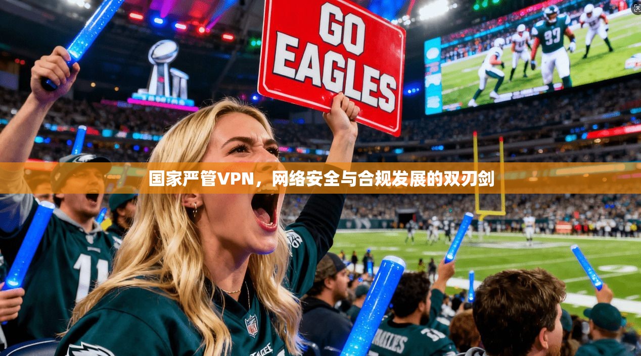 国家严管VPN,网络安全与合规发展的双刃剑 国家严管VPN,网络安全与合规发展的双刃剑