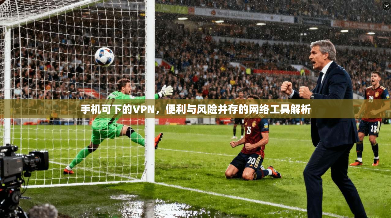 手机可下的VPN,便利与风险并存的网络工具解析 手机可下的VPN,便利与风险并存的网络工具解析