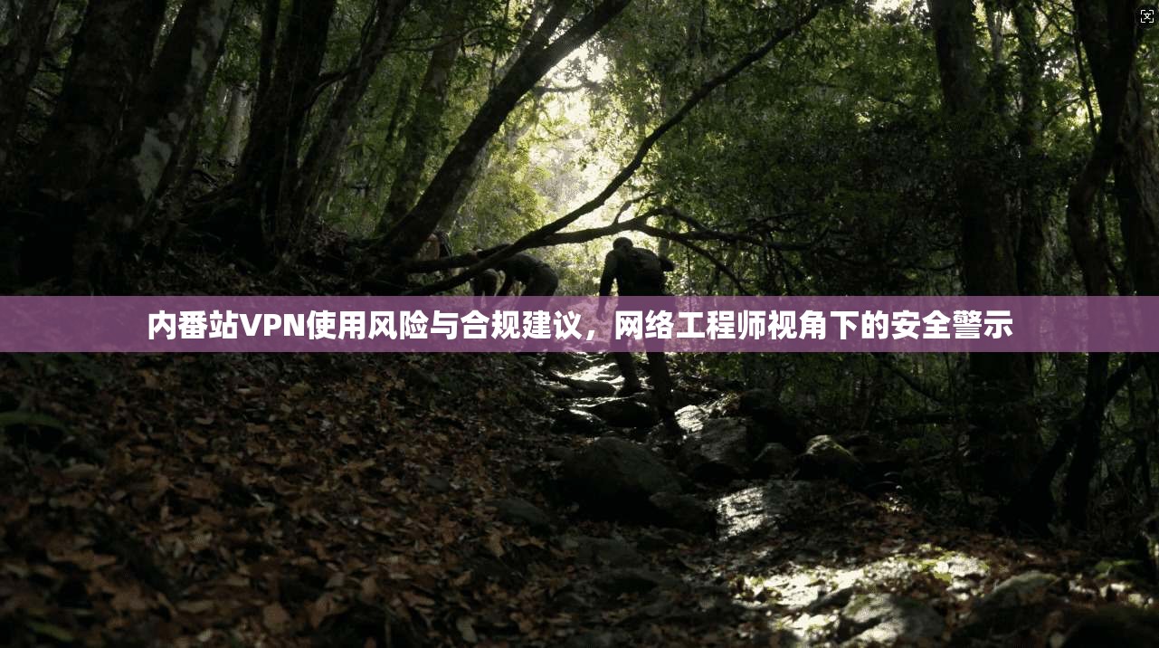 内番站VPN使用风险与合规建议，网络工程师视角下的安全警示