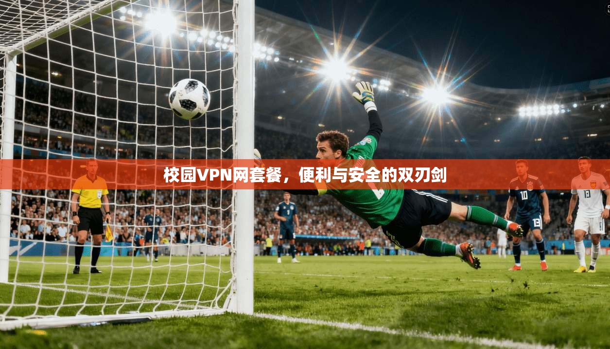 校园VPN网套餐，便利与安全的双刃剑