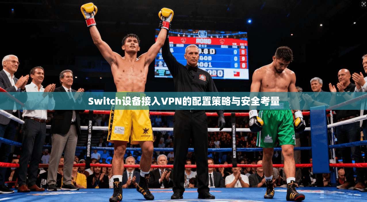 Switch设备接入VPN的配置策略与安全考量
