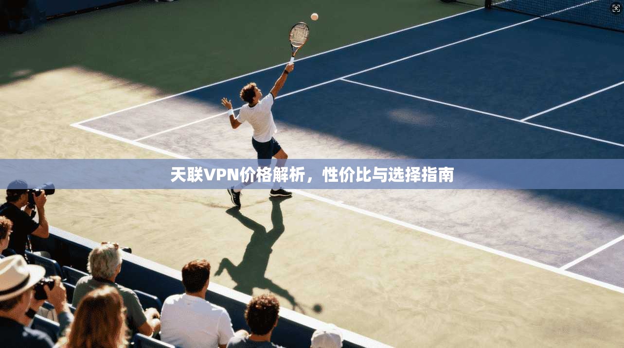 天联VPN价格解析，性价比与选择指南