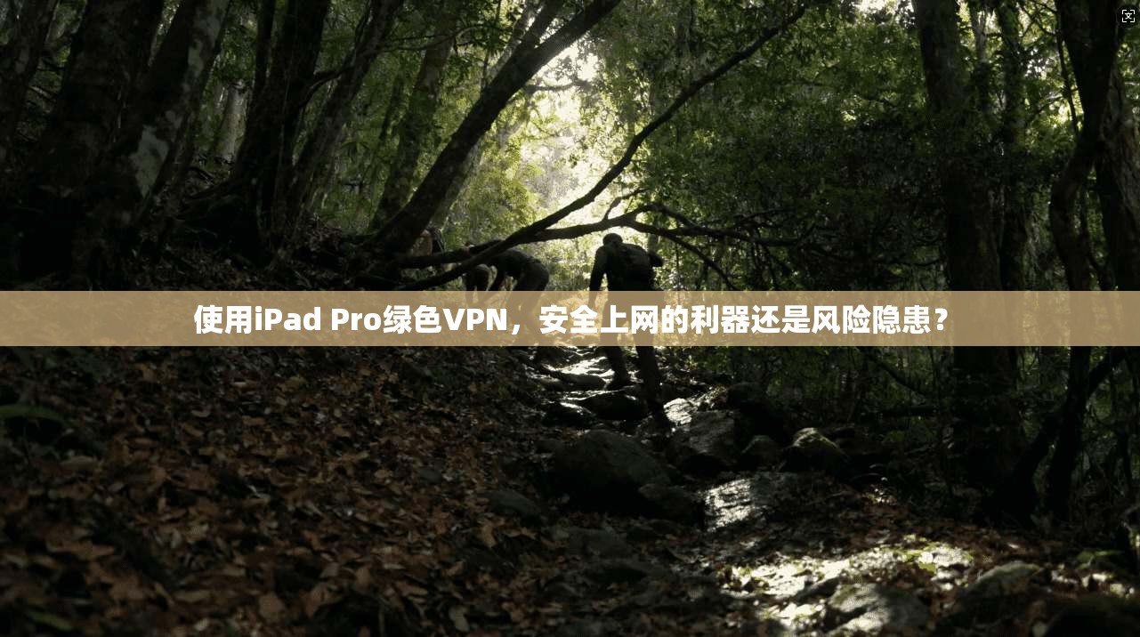 使用iPad Pro绿色VPN，安全上网的利器还是风险隐患？