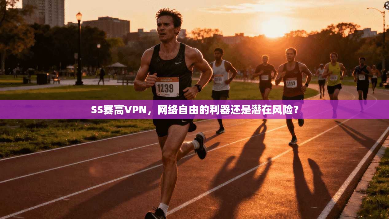SS赛高VPN,网络自由的利器还是潜在风险?