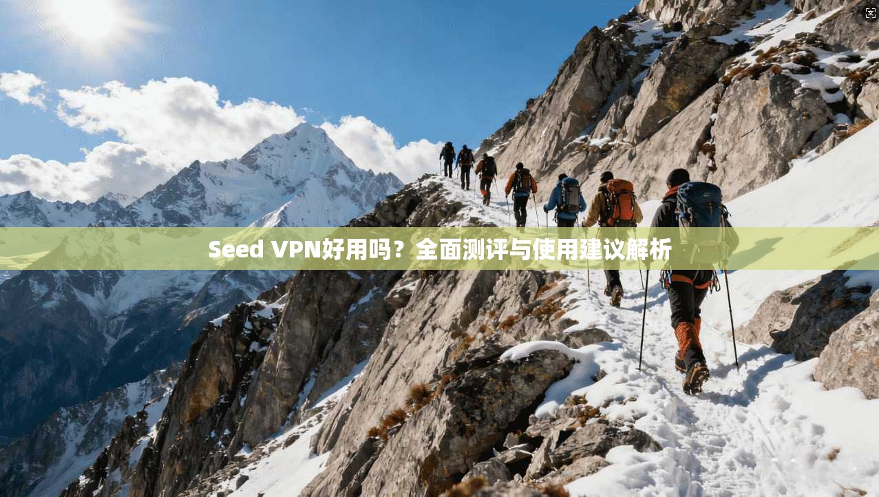 Seed VPN好用吗？全面测评与使用建议解析