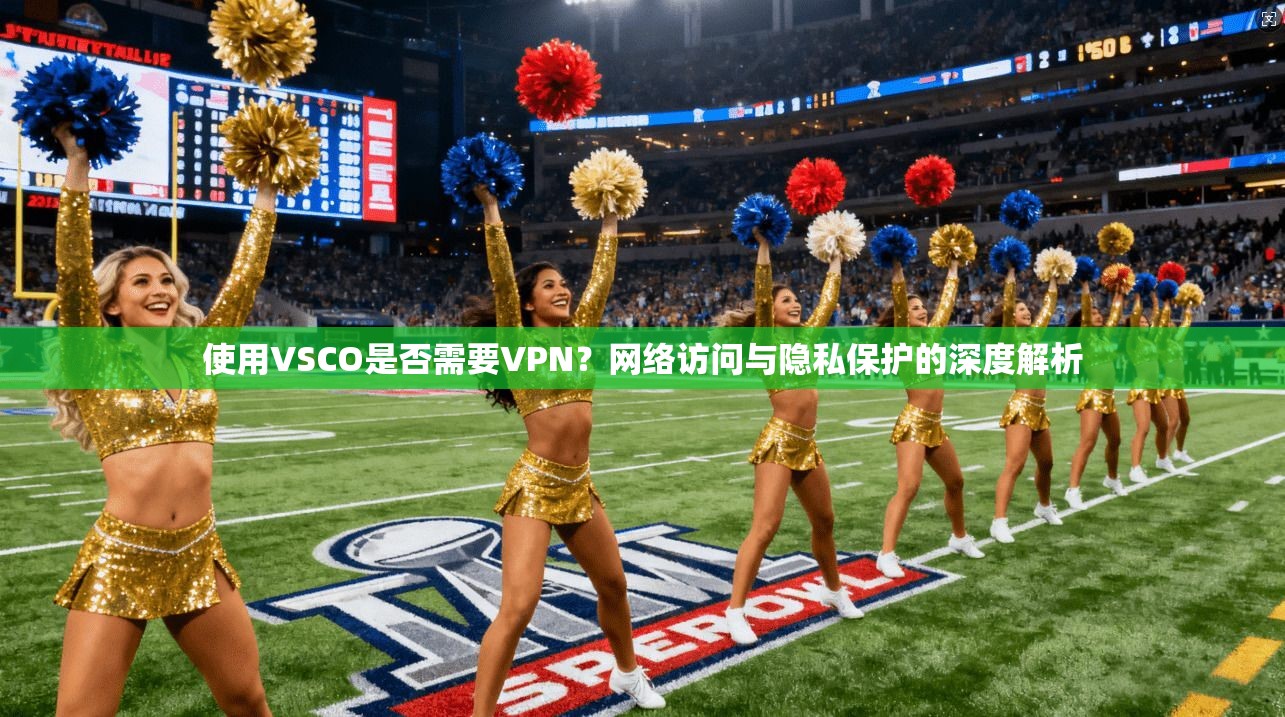 使用VSCO是否需要VPN？网络访问与隐私保护的深度解析