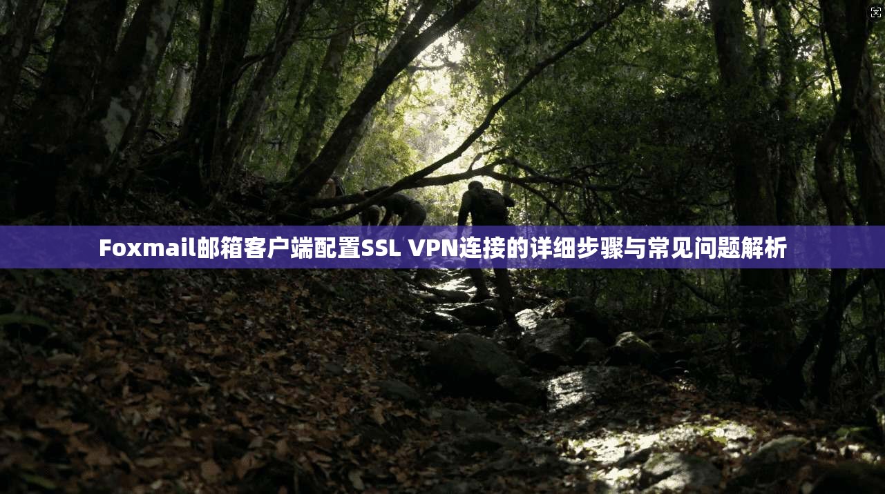 Foxmail邮箱客户端配置SSL VPN连接的详细步骤与常见问题解析