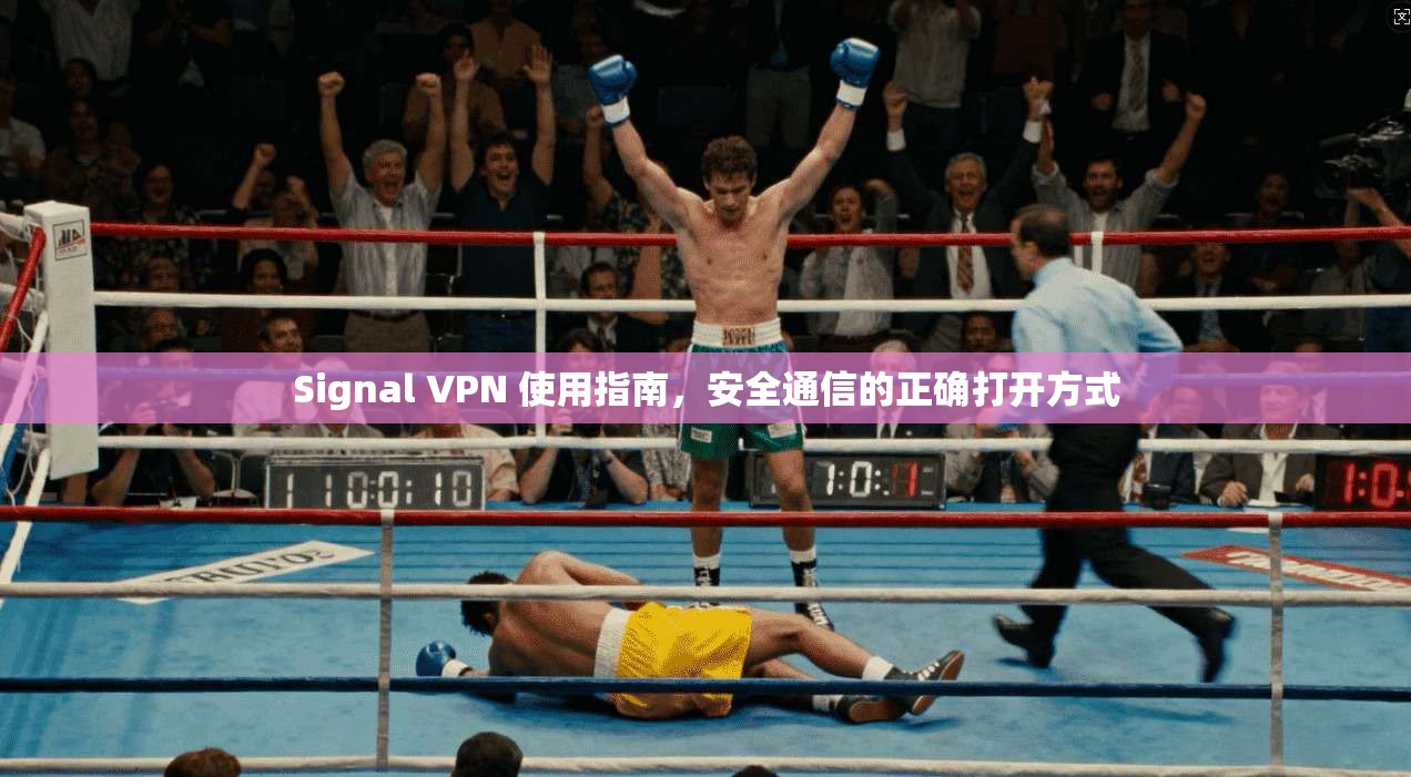 Signal VPN 使用指南，安全通信的正确打开方式