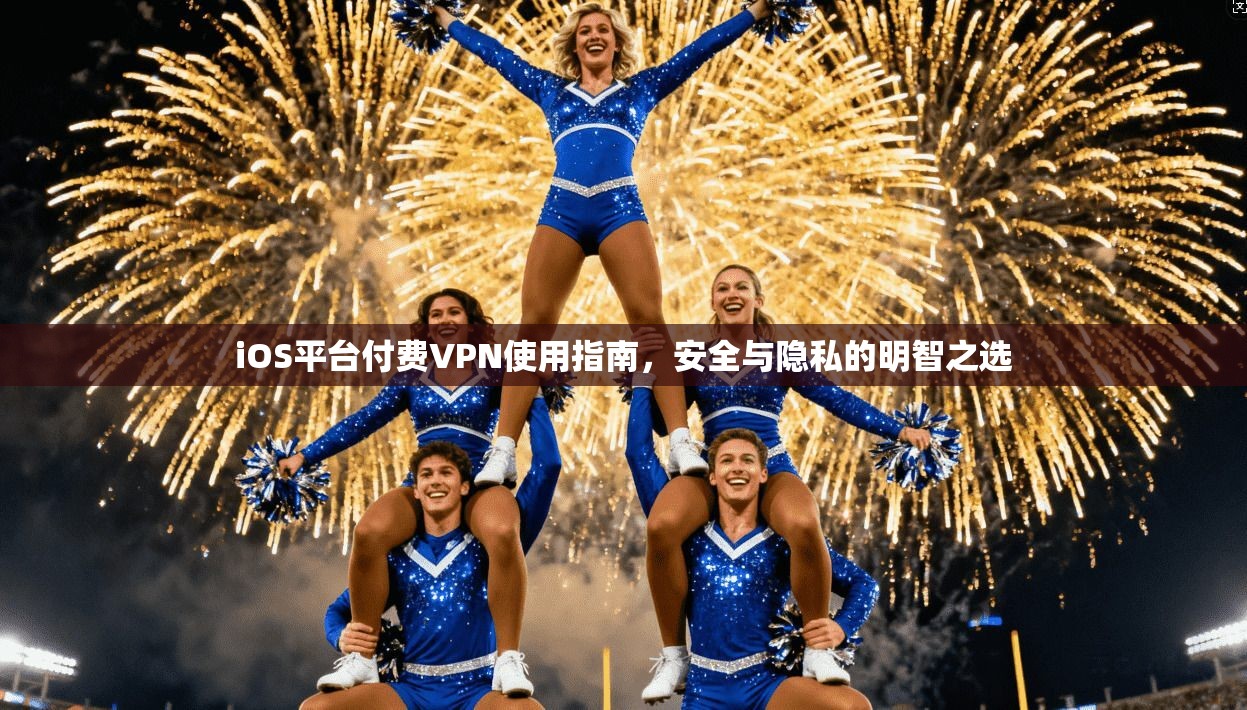 iOS平台付费VPN使用指南，安全与隐私的明智之选