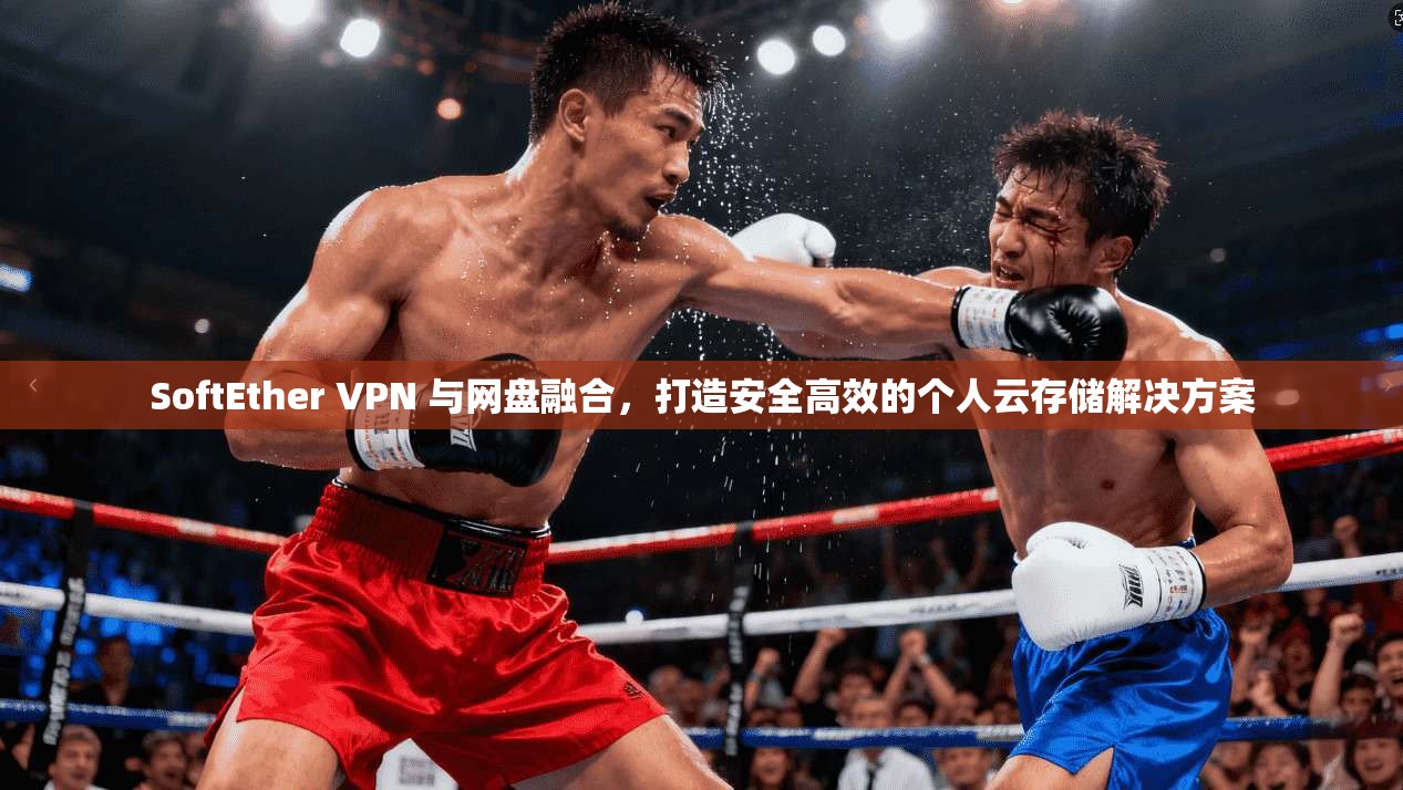 SoftEther VPN 与网盘融合，打造安全高效的个人云存储解决方案