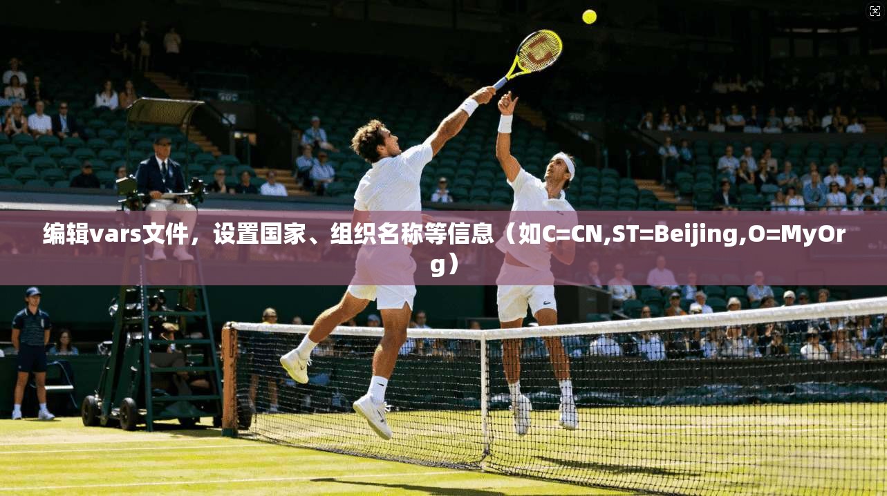 编辑vars文件，设置国家、组织名称等信息（如C=CN,ST=Beijing,O=MyOrg）