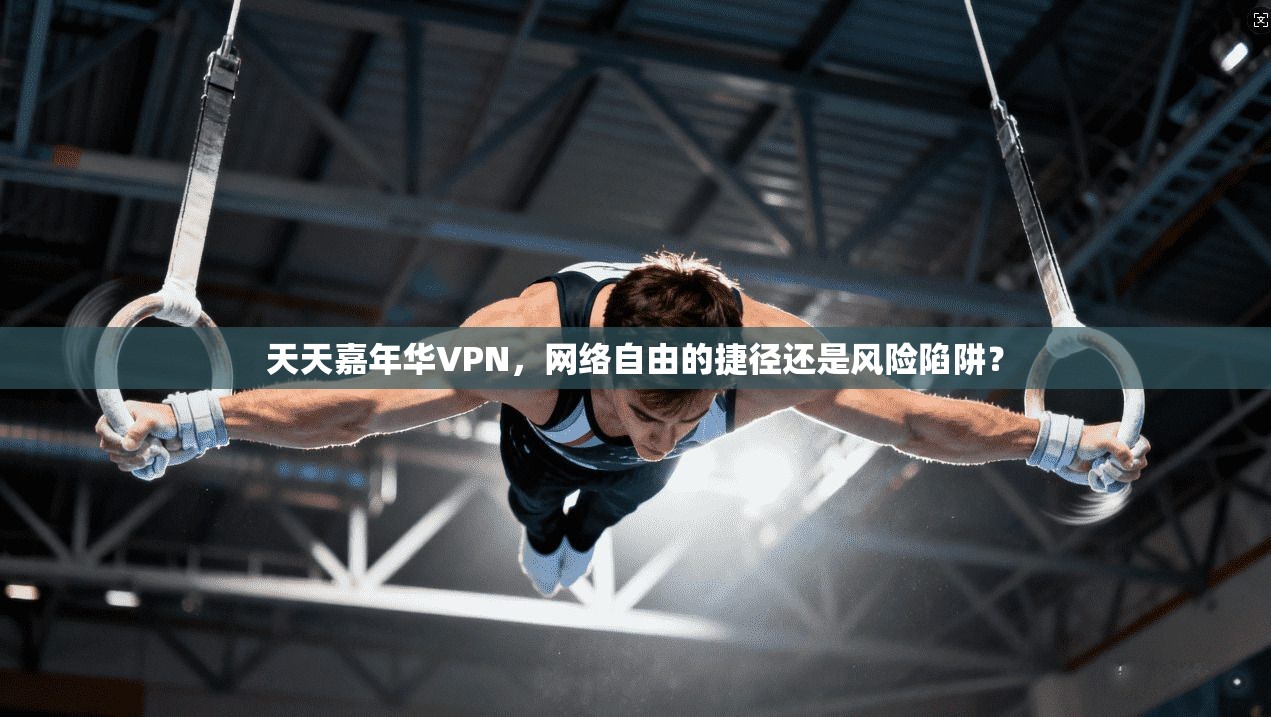 天天嘉年华VPN，网络自由的捷径还是风险陷阱？