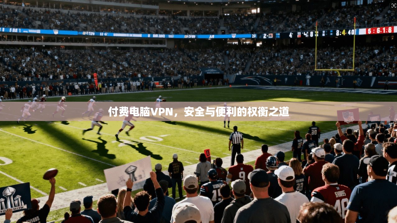 付费电脑VPN,安全与便利的权衡之道 付费电脑VPN,安全与便利的权衡之道