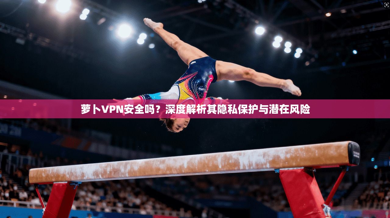 萝卜VPN安全吗？深度解析其隐私保护与潜在风险