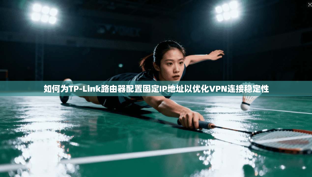 如何为TP-Link路由器配置固定IP地址以优化VPN连接稳定性