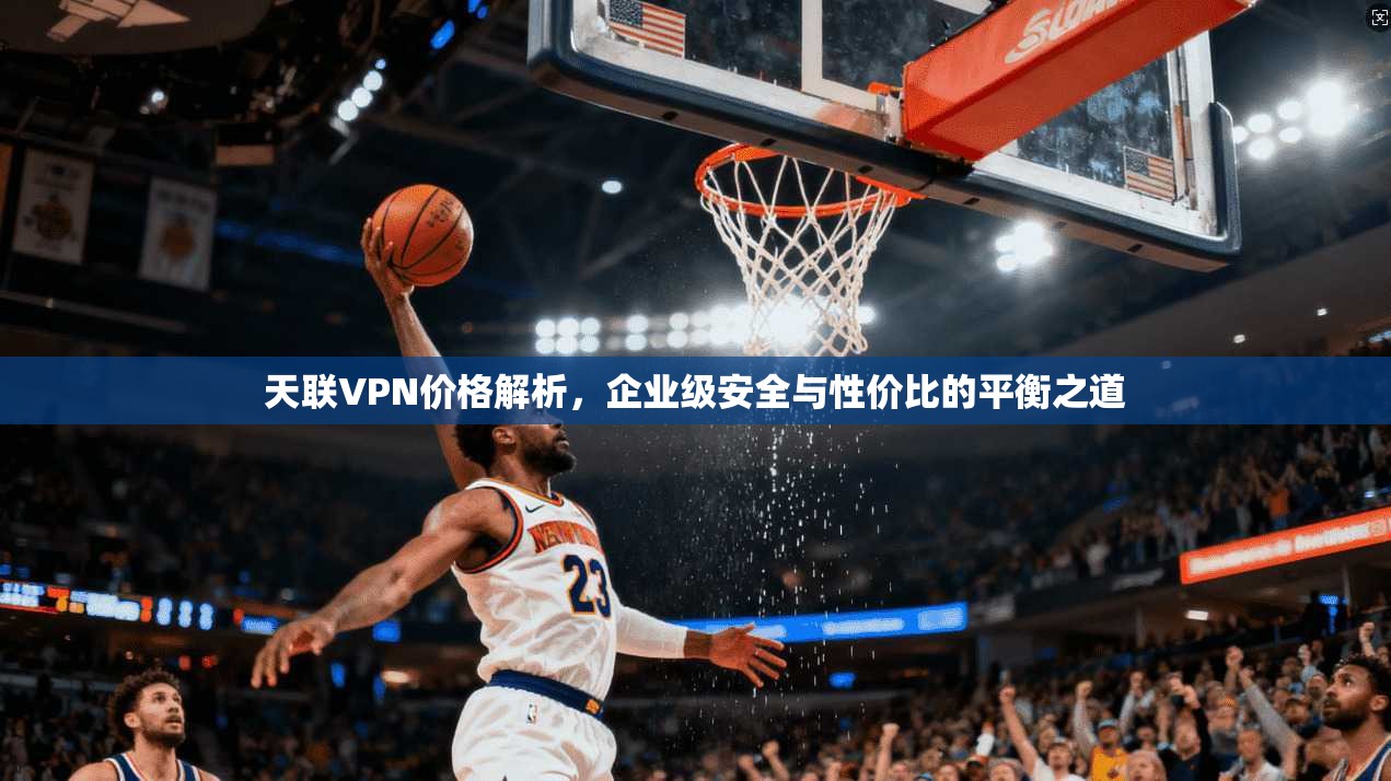 天联VPN价格解析，企业级安全与性价比的平衡之道