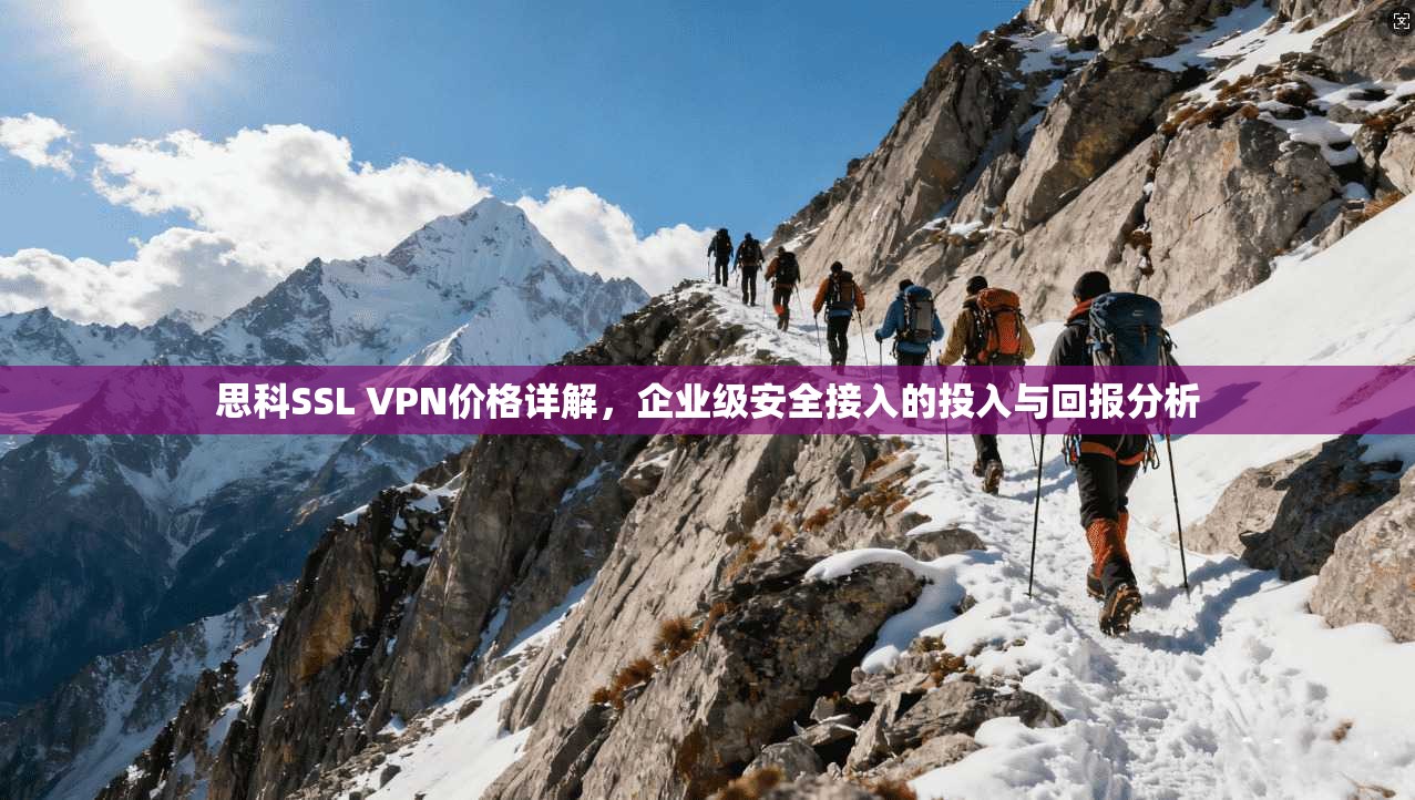 思科SSL VPN价格详解,企业级安全接入的投入与回报分析