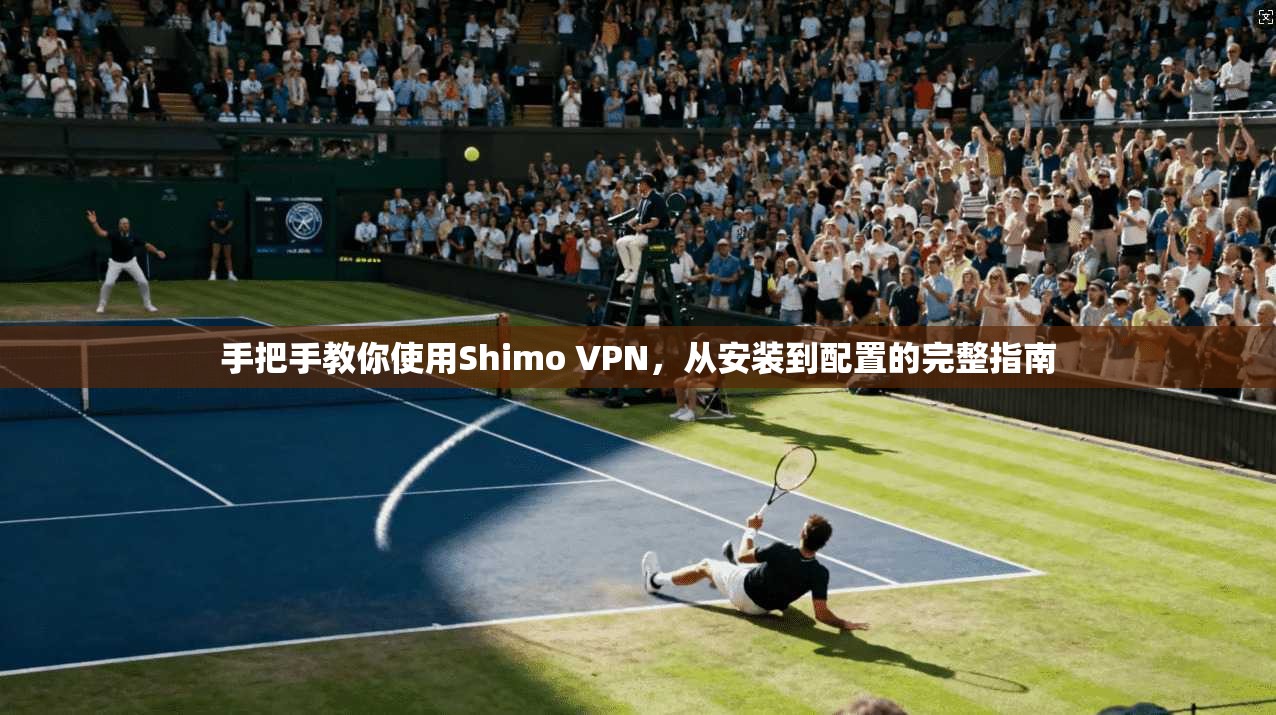手把手教你使用Shimo VPN，从安装到配置的完整指南
