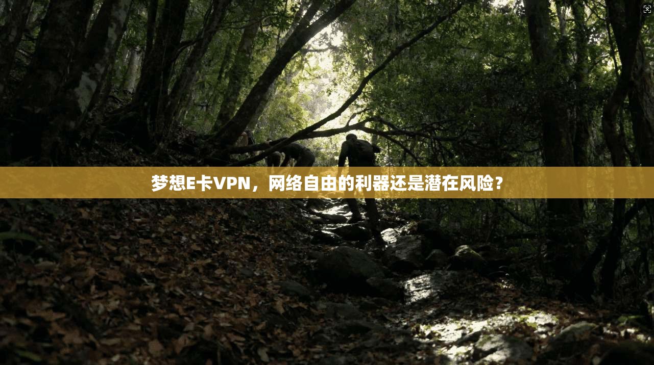 梦想E卡VPN，网络自由的利器还是潜在风险？