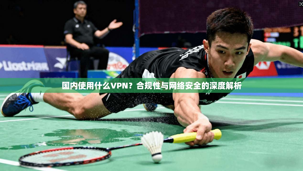 国内使用什么VPN?合规性与网络安全的深度解析 国内使用什么VPN?合规性与网络安全的深度解析