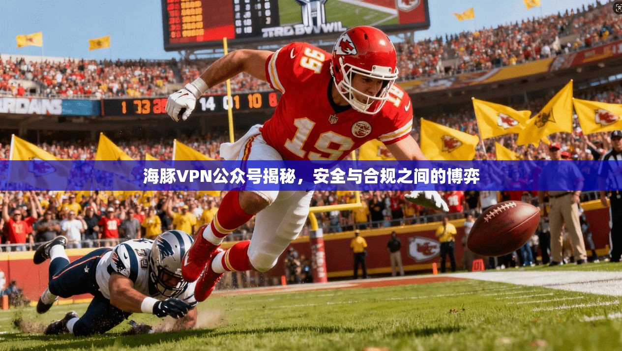 海豚VPN公众号揭秘，安全与合规之间的博弈