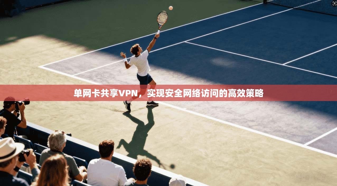 单网卡共享VPN，实现安全网络访问的高效策略