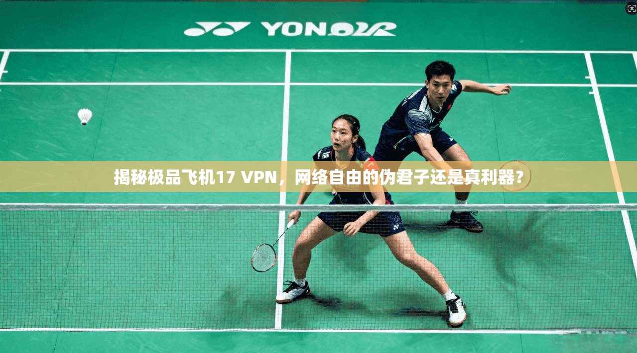 揭秘极品飞机17 VPN,网络自由的伪君子还是真利器?