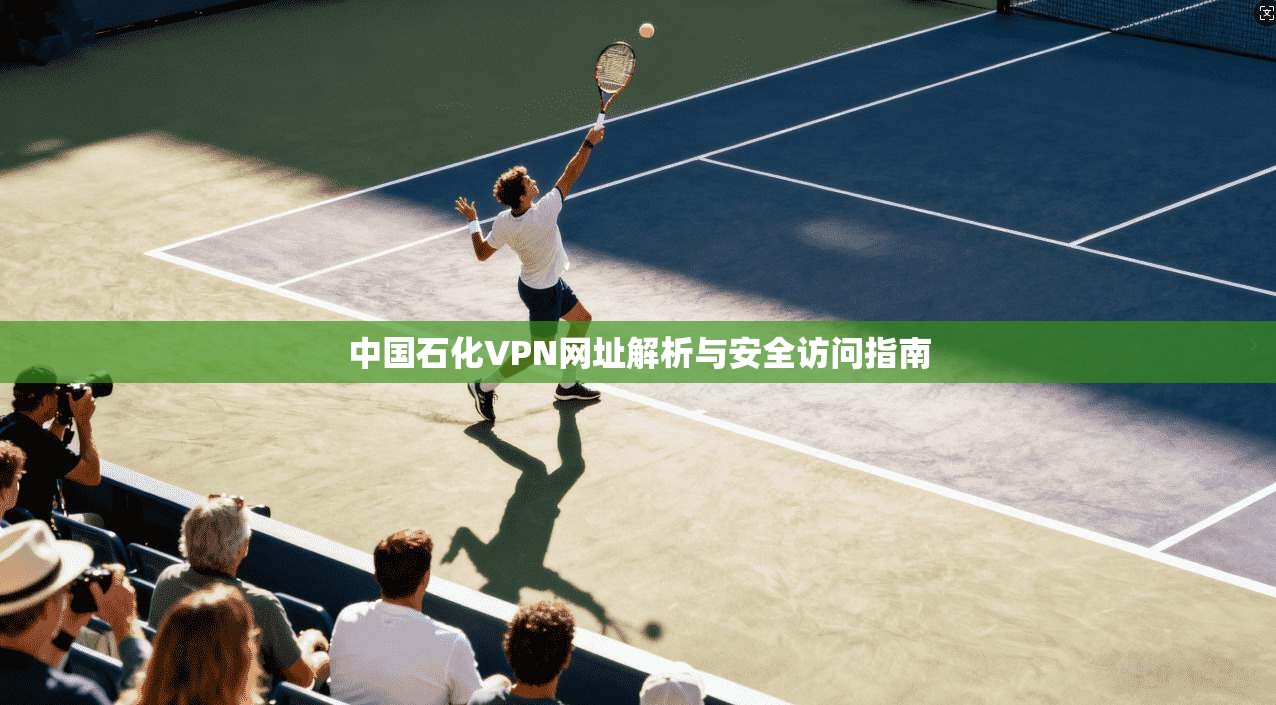 中国石化VPN网址解析与安全访问指南