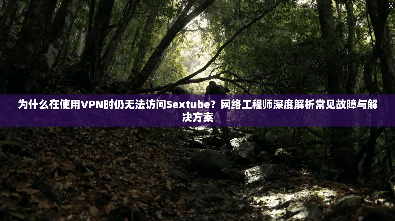 为什么在使用VPN时仍无法访问Sextube？网络工程师深度解析常见故障与解决方案
