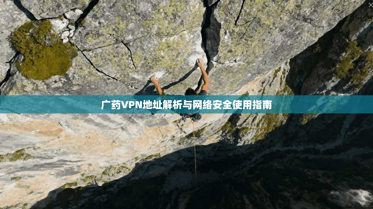 广药VPN地址解析与网络安全使用指南