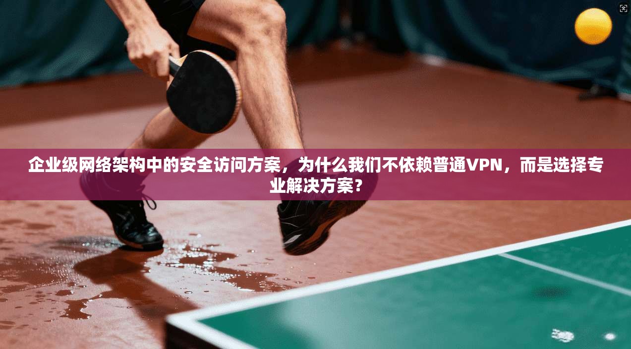企业级网络架构中的安全访问方案，为什么我们不依赖普通VPN，而是选择专业解决方案？