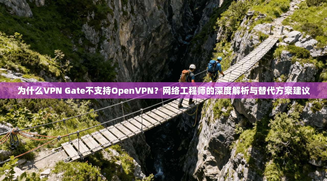 为什么VPN Gate不支持OpenVPN?网络工程师的深度解析与替代方案建议 为什么VPN Gate不支持OpenVPN?网络工程师的深度解析与替代方案建议