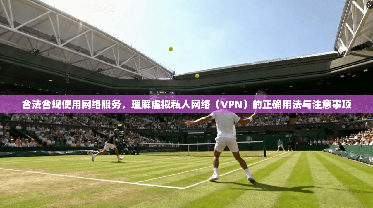 合法合规使用网络服务，理解虚拟私人网络（VPN）的正确用法与注意事项