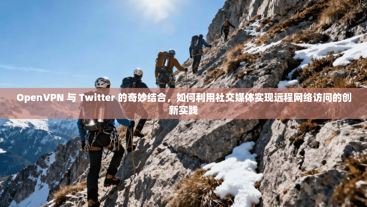 OpenVPN 与 Twitter 的奇妙结合，如何利用社交媒体实现远程网络访问的创新实践