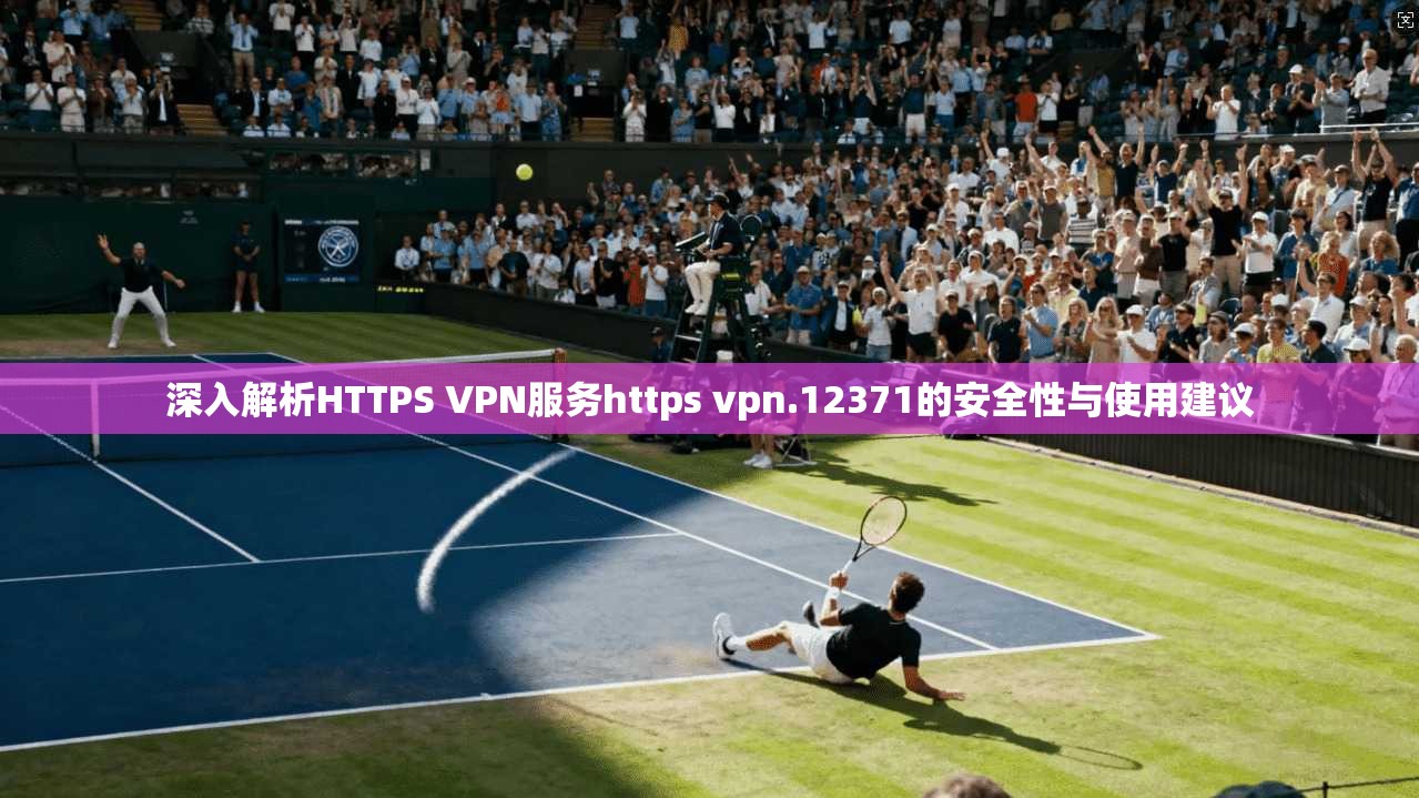 深入解析HTTPS VPN服务https vpn.12371的安全性与使用建议 深入解析HTTPS VPN服务https vpn.12371的安全性与使用建议