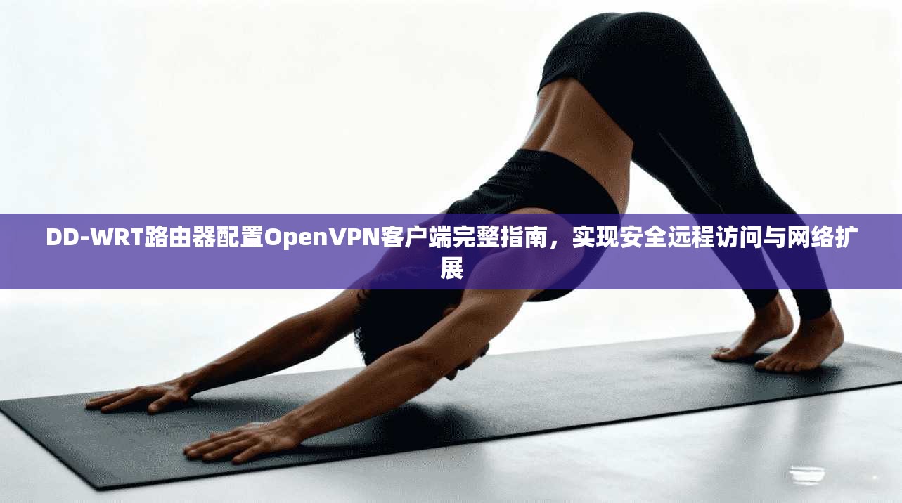 DD-WRT路由器配置OpenVPN客户端完整指南,实现安全远程访问与网络扩展 DD-WRT路由器配置OpenVPN客户端完整指南,实现安全远程访问与网络扩展