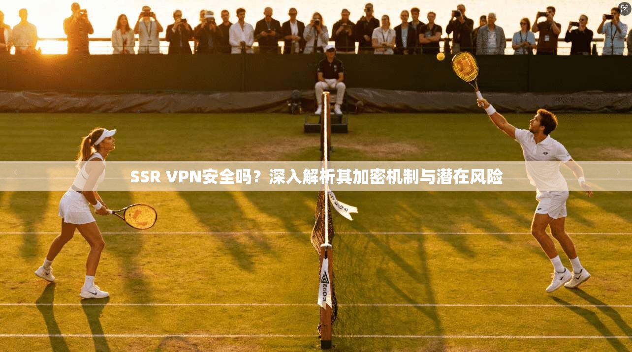 SSR VPN安全吗？深入解析其加密机制与潜在风险