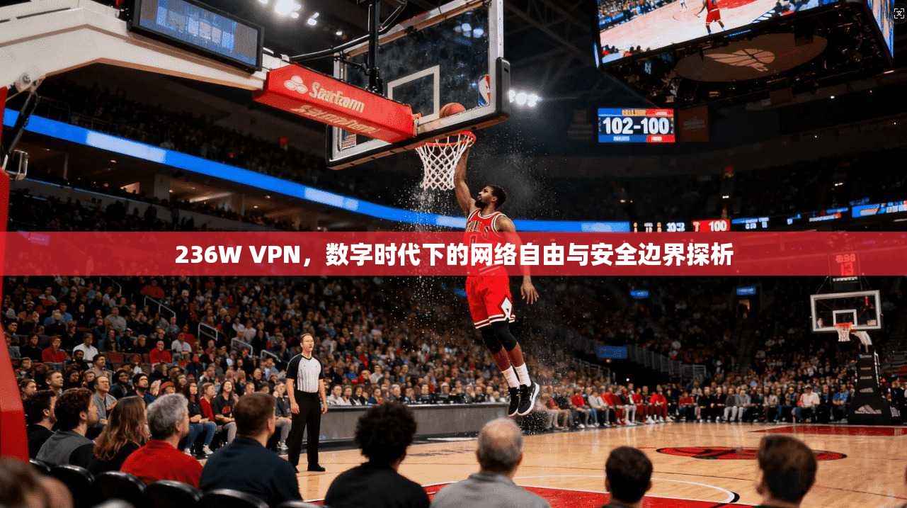 236W VPN,数字时代下的网络自由与安全边界探析 236W VPN,数字时代下的网络自由与安全边界探析