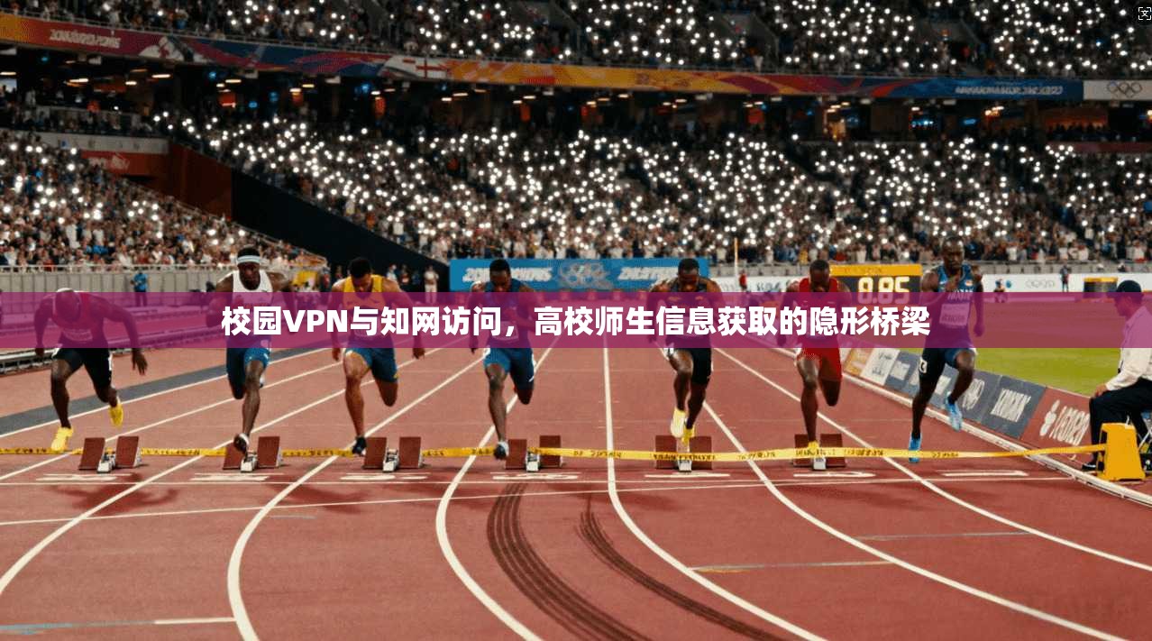 校园VPN与知网访问，高校师生信息获取的隐形桥梁