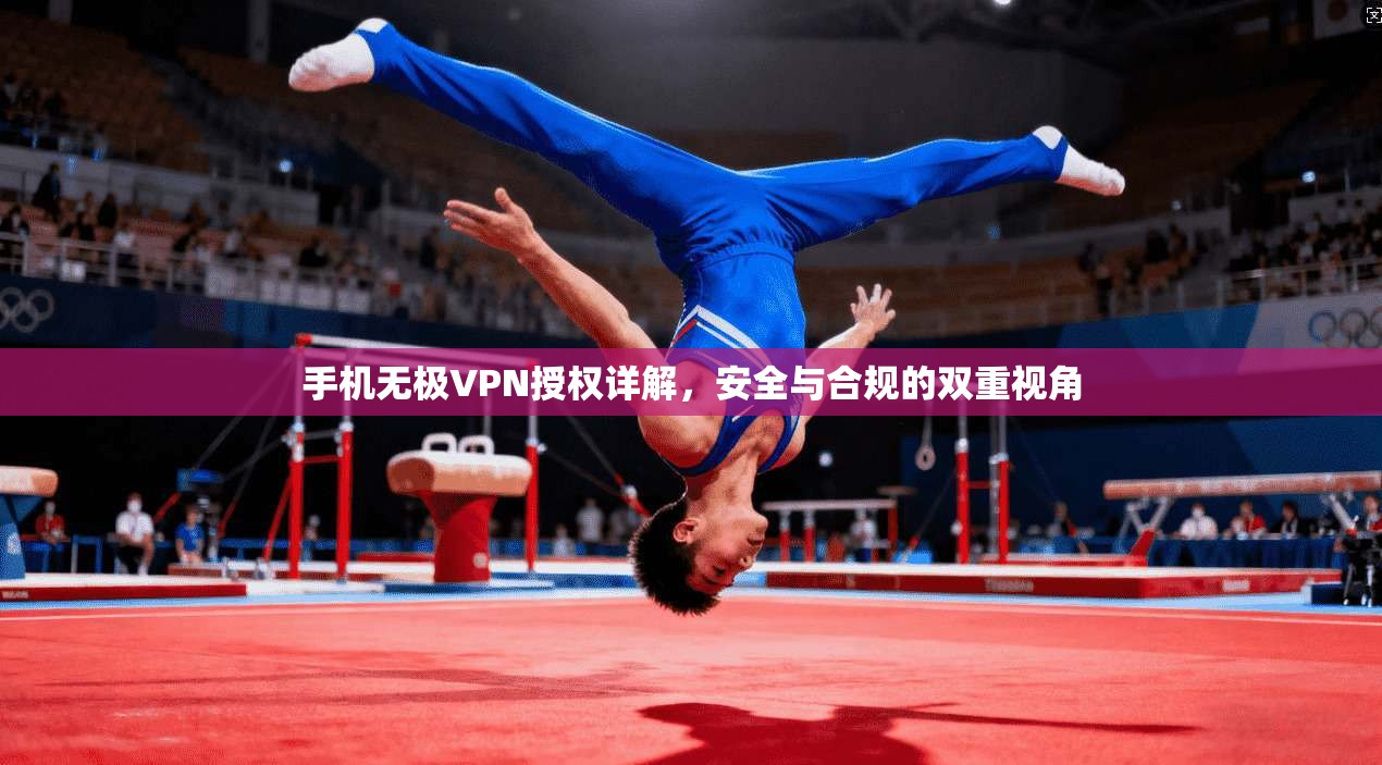 手机无极VPN授权详解，安全与合规的双重视角