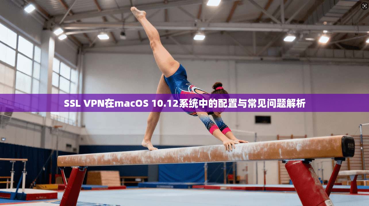 SSL VPN在macOS 10.12系统中的配置与常见问题解析 SSL VPN在macOS 10.12系统中的配置与常见问题解析
