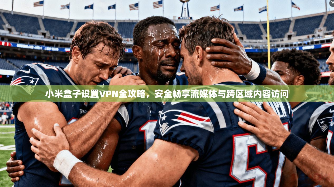 小米盒子设置VPN全攻略，安全畅享流媒体与跨区域内容访问
