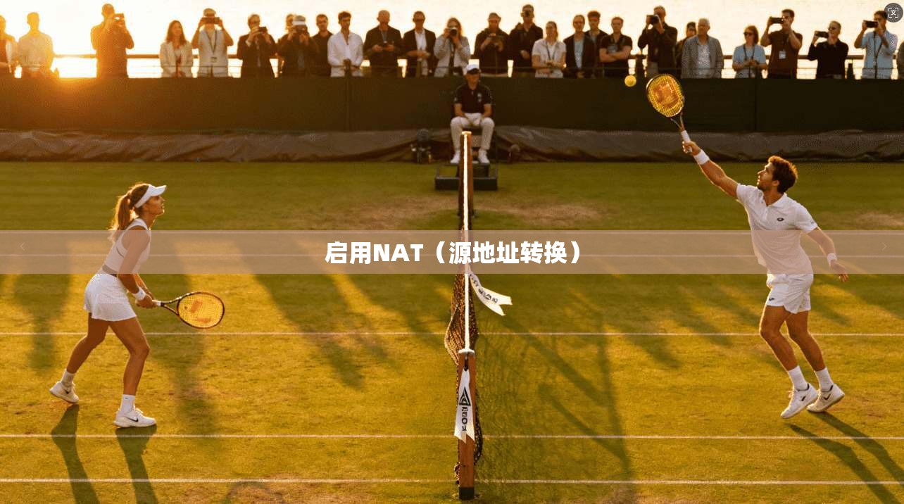 启用NAT(源地址转换) 启用NAT(源地址转换)