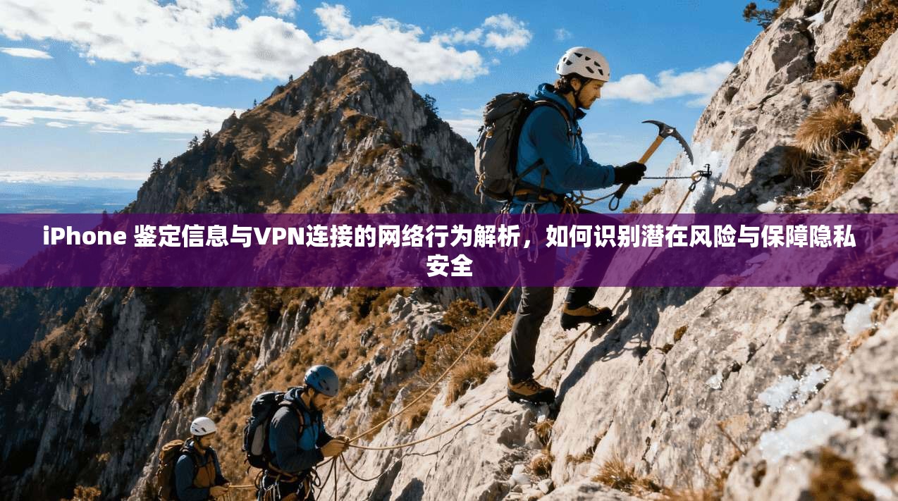 iPhone 鉴定信息与VPN连接的网络行为解析，如何识别潜在风险与保障隐私安全