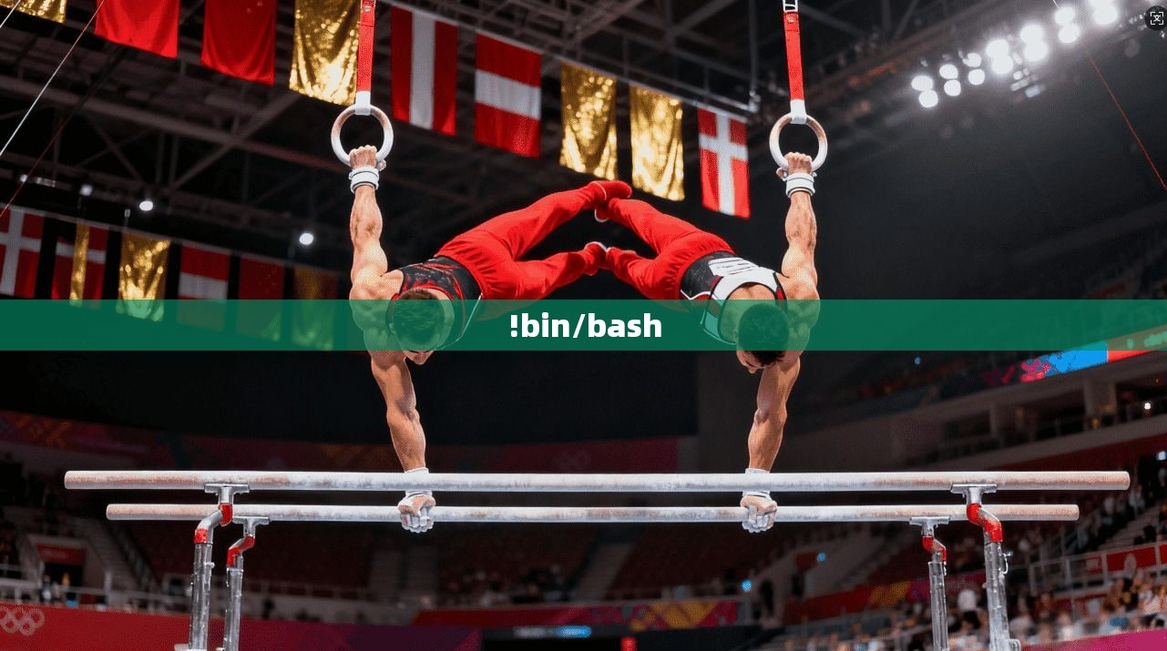 !bin/bash
