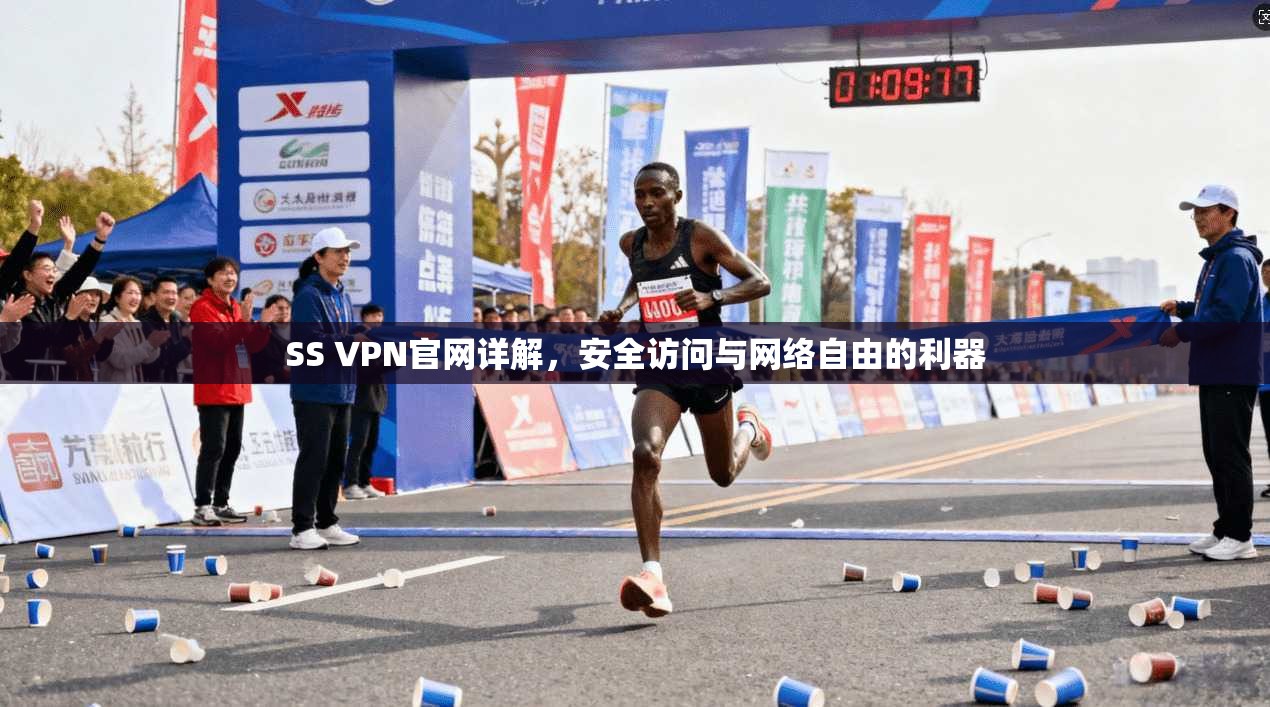 SS VPN官网详解，安全访问与网络自由的利器