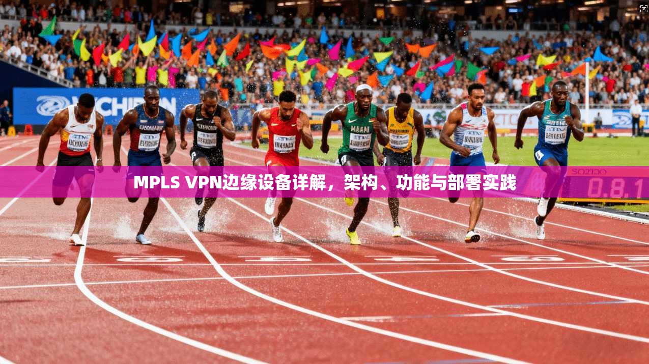 MPLS VPN边缘设备详解，架构、功能与部署实践