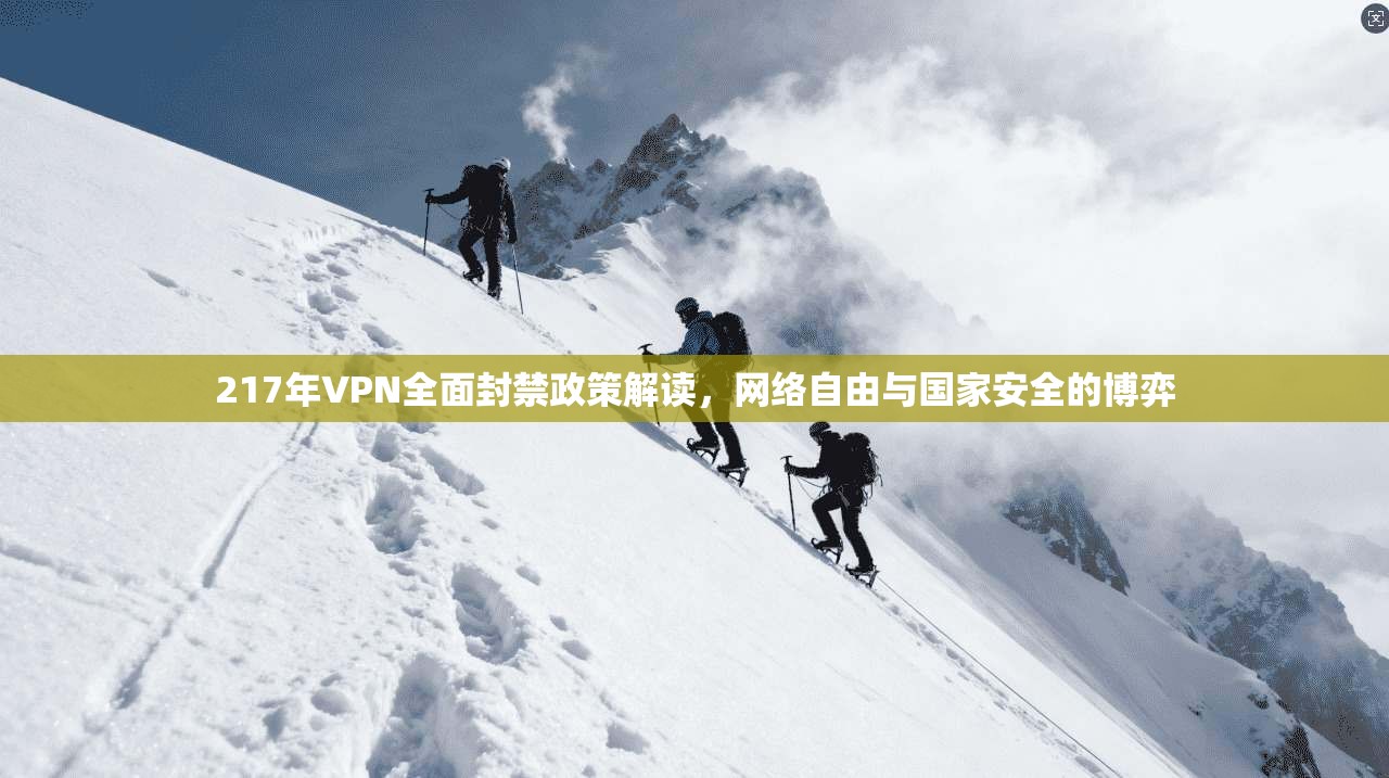 217年VPN全面封禁政策解读，网络自由与国家安全的博弈