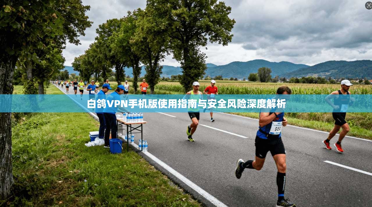 白鸽VPN手机版使用指南与安全风险深度解析